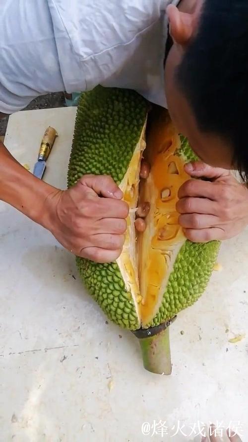 菠萝蜜免费视频